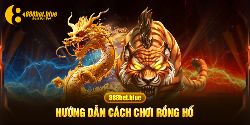 cách chơi rồng hổ