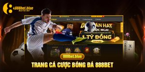 trang cá cược bóng đá