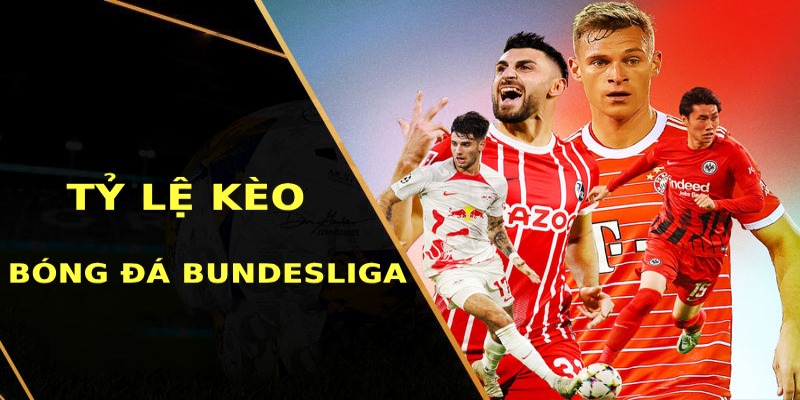 Tỷ lệ kèo bóng đá hôm nay xanh chín cùng giải Bundesliga