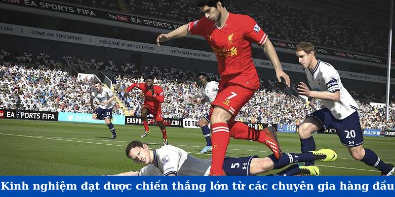 Kinh nghiệm đạt được chiến thắng lớn từ các chuyên gia hàng đầu